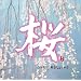 Cherry Blossoms