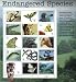 1996 ENDANGERED SPECIES #3105 Souvenir Sheet of 15 x 32 cents US Postage Stamps