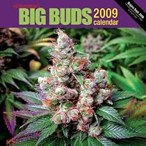 Ed Rosenthal's Big Buds Marijuana Calendar 2009