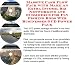 Book Massive Cash Flow Pack with Make An Extra Income, Biz Networking and eCommerce for Fly Fishing Rods Web Businesses 3 CD Power Pack