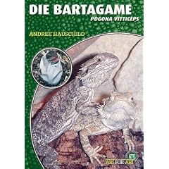 Die Bartagame: Pogona vitticeps