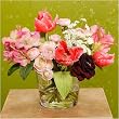 Milano - Garden Roses, Ranunculus, Rhododendron