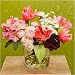Milano - Garden Roses, Ranunculus, Rhododendron