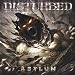 Disturbed-Asylum