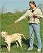 Pet Supplies : The Grrrip Two Handled Dog Leash - 1 in. x 6' Red