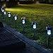 Momentum BLK-56732 Kealive Stainless Steel LED Solar Powered Path Light, 6-Piece