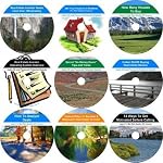 The Superwhammodyne Nine CD Nothing Down, Wealth Generating, Real Estate Mentoring System book cover