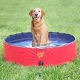 Frontpet Foldable Large Dog Pet Pool Bathing Tub (50 Inch X 11.8 Inch)