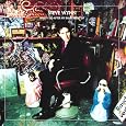 What I Did After My Band Broke Up: The Best of Steve Wynn / Visitation Rights by Steve Wynn