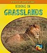 Hiding in Grasslands (Young Explorer: Creature Camouflage)