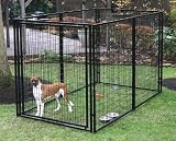 Grandview Dog Kennel 10' x 5' x 6'h