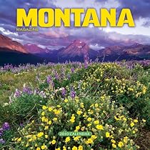 Montana 2010 Calendar