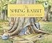 The Spring Rabbit (Dell Picture Yearling book)