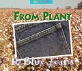 From Plant to Blue Jeans: A Photo Essay (Changes)