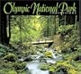Olympic National Park Impressions