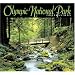 Olympic National Park Impressions