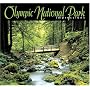 Olympic National Park Impressions