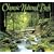 Olympic National Park Impressions