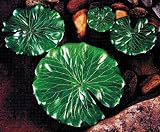 Artificial Lily Pads