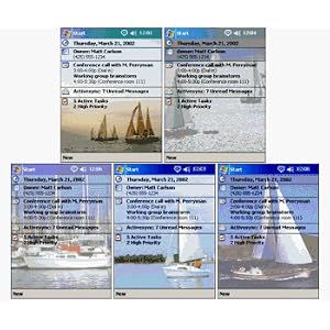Beautiful Yacht Collection Theme Pack