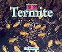 Bugs - Termites