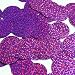 Round Flat Sequin 30mm Amethyst Purple Hologram Glitter Sparkle. Couture Paillettes. Made in USA