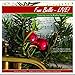 Bradley Sowash, Fum Bells - Live! Christmas classics uniquely arranged for big band and choir. by Bradley Sowash (2010-11-29) &#x3010;&#x4E26;&#x884C;&#x8F38;&#x5165;&#x54C1;&#x3011;, 発売中