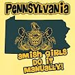 Funny State Pride Pennsylvania Novelty T Shirt