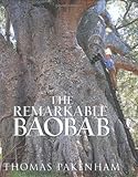 The remarkable baobab