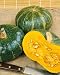 Burgess Buttercup Winter Squash Seeds - Cucurbita Maxima - 4 Grams - Approx 24 Gardening Seeds - Vegetable Garden Seed