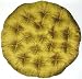 Imperial 100% Polyester 54 Round Papasan Chair Cushion in Imperial Green by Cotton Craft
