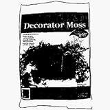 Decorator Sheet Moss