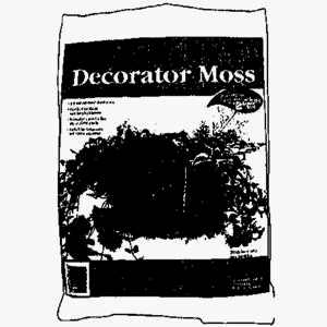Decorator Sheet Moss
