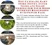 The Ultimate Earn More Money, Inner Game and Sales Models for Your Home Internet Businesses 3 CD Power Pack