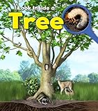 Look inside a tree