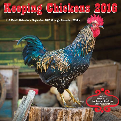 Keeping Chickens 2016: 16-Month Calendar September 2015 through December 2016