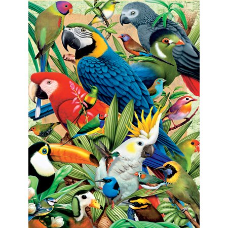 Image of FX Schmid Avian World Puzzle, 300pc