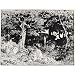 Pierre &Eacute;tienne Th&eacute;odore Rousseau (Oaks) Art Poster- 13x19 custom fit with RichAndFramous Black 99 inch Poster Hangers