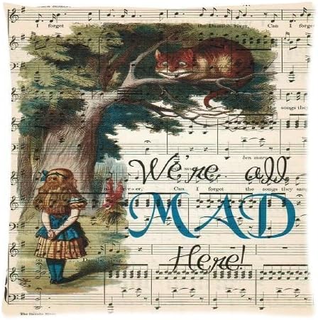 Dawndiy We're All Mad Here Custom Pillowcase, We're All Mad Here Zippered Pillow Case Cover Size 20*20 (one side)