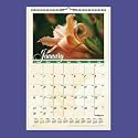 Mtly Wall Cal,Flower Scenes,White Spiral,15 1/2"x22 3/4" (AAGDMW30128)