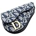 �N���X�`������f�B�I�[�� CHRISTIAN DIOR �u���[ ���S�W���K�[�h SLO43002 �R�C���P�[�X