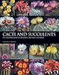 Cacti and succulents