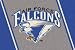 Air Force Academy Falcons 5' 4" x 7' 8" Team Spirit Area Rug