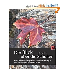 Der Blick �ber die Schulter: Anspruchsvolle Fotografie und Bildbearbeitung - Von erstklassigen Beispielen lernen
