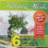 Outdoor Living : Grow your own Herb Garden, 6 Herbs every kitchen needs