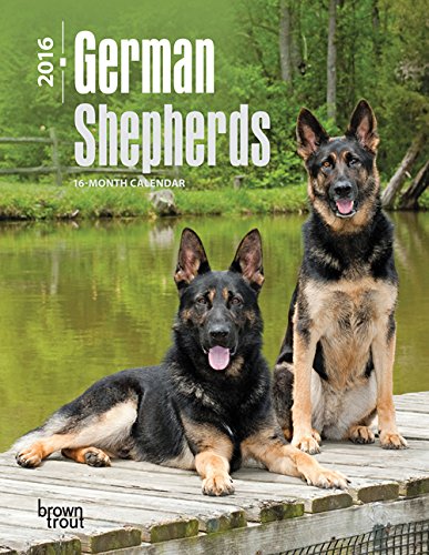 German Shepherds 2016 Engagement (Multilingual Edition)
