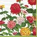 Entertaining with Caspari Zinnia 3-ply Paper Cocktail Napkin, 40-Count