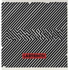 Labyrinth [Vinyl LP]