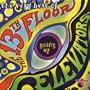 Going Up-Very Best of 13th Floor Elevators