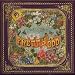 Pretty. Odd.